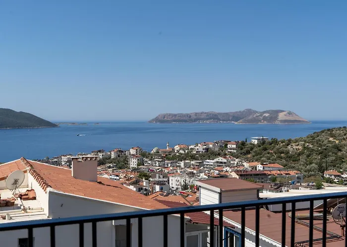 فندق Brow كاس